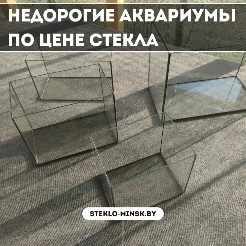 Недорогие аквариумы в Минске: качественные решения по доступной цене